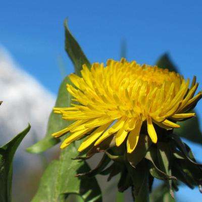 永盈会手机版app下载